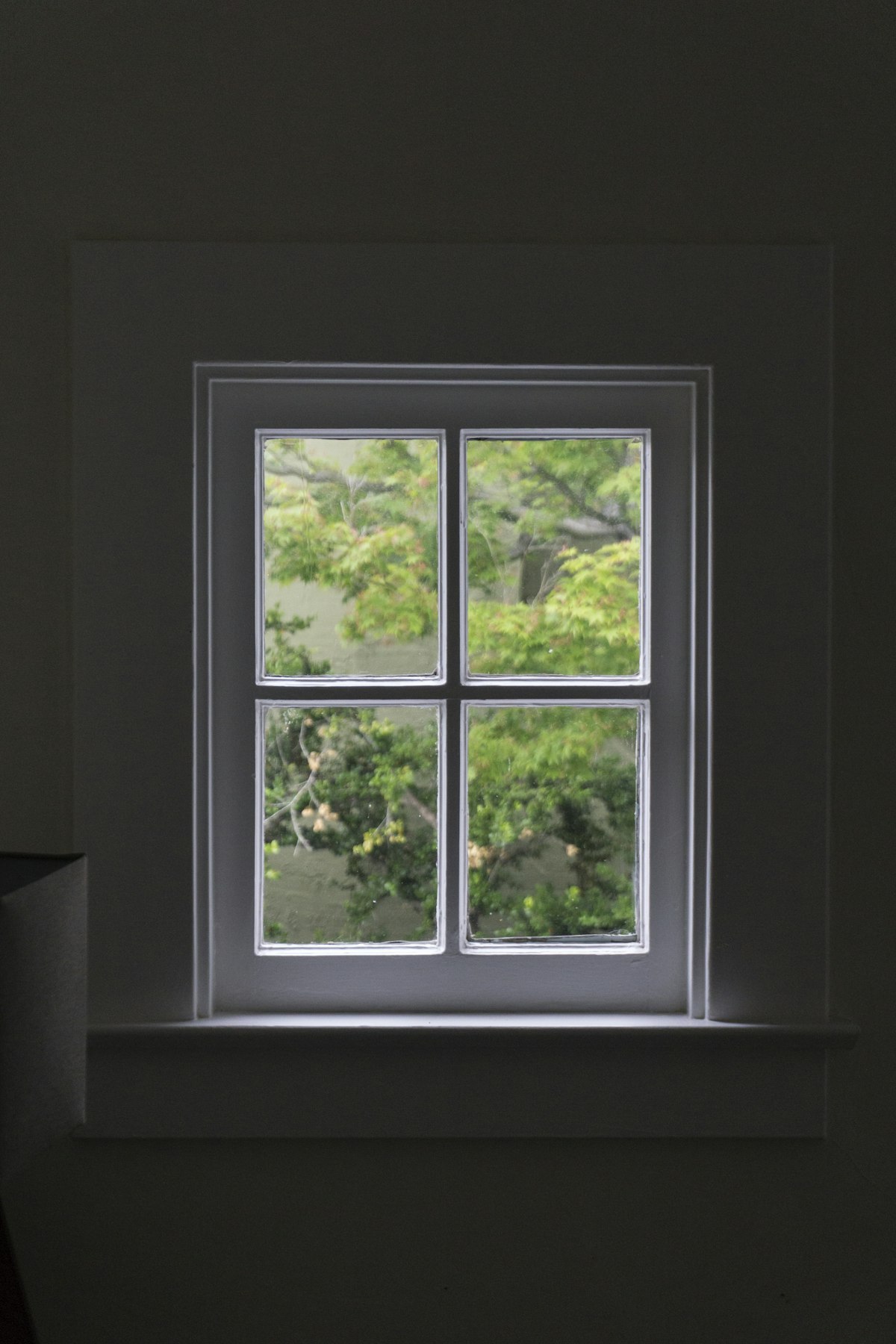 A grey-framed four-pane window in a dark wall with greenery outside