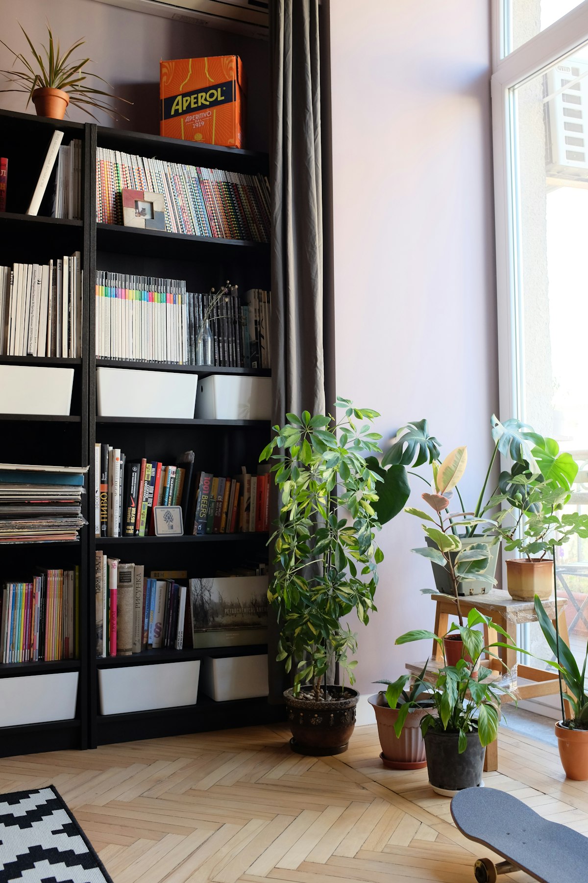 A tall bookcase full of books beside a group of potted plants