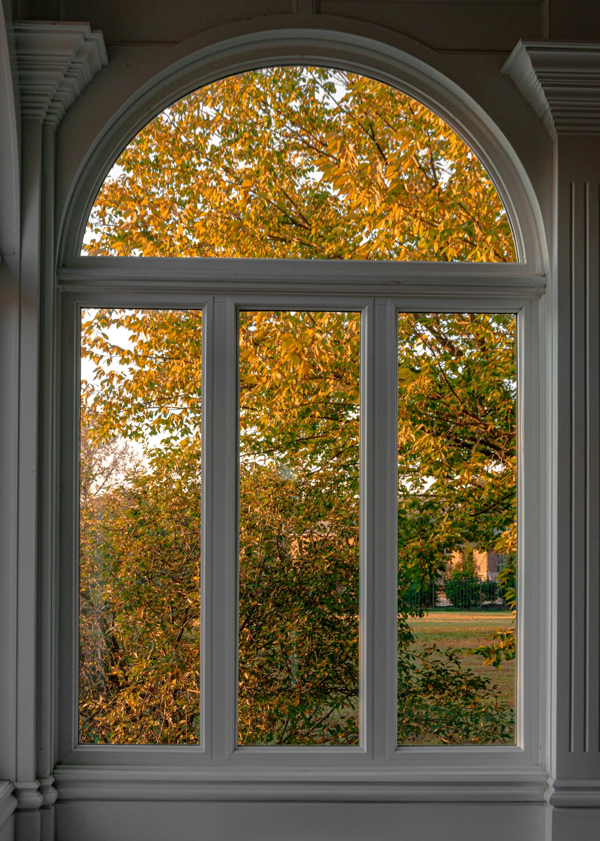 A tall arched window with white wooden frames looking out on autumn trees
